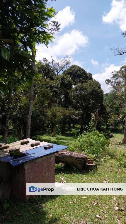 24 acres agricultural land at Tapah,Perak, Perak, Tapah