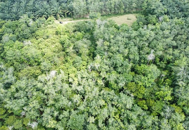 6.975044 acres abandoned rubber estate at Tanjung Tualang, Perak