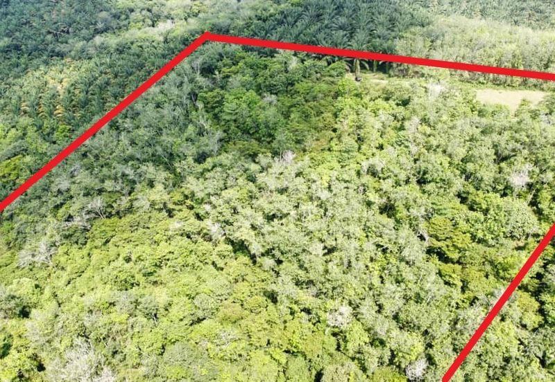 6.975044 acres abandoned rubber estate at Tanjung Tualang, Perak