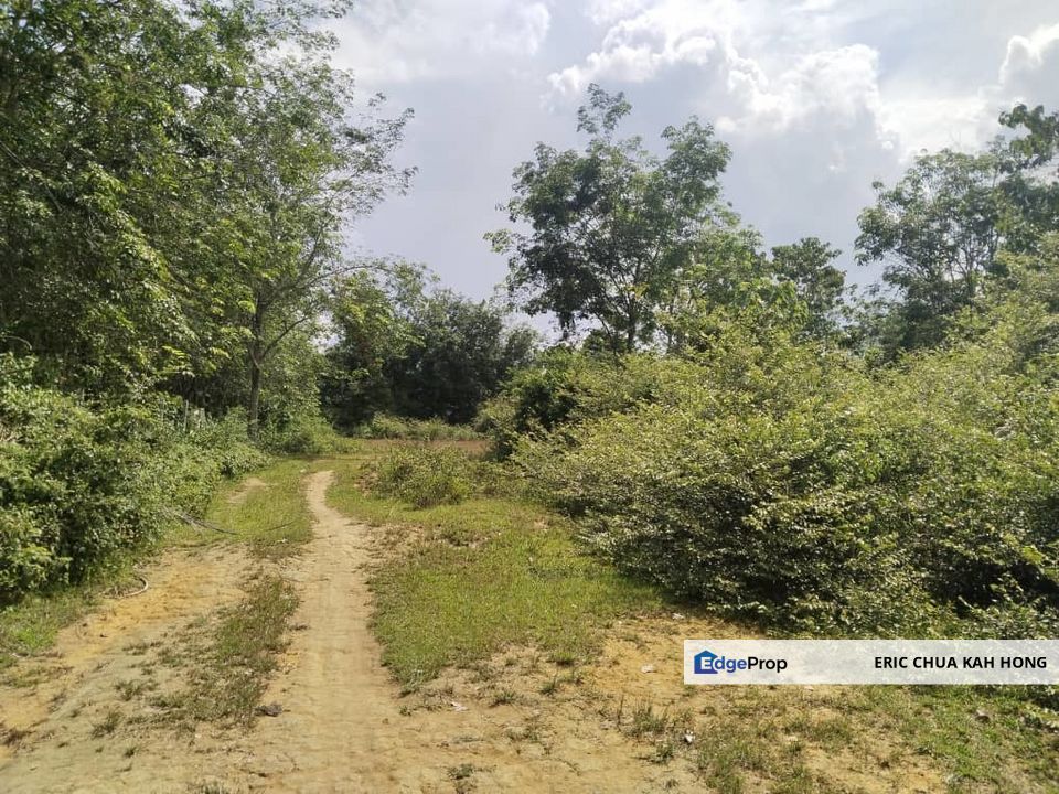 6.975044 acres abandoned rubber estate at Tanjung Tualang, Perak, Perak, Tanjong Tualang