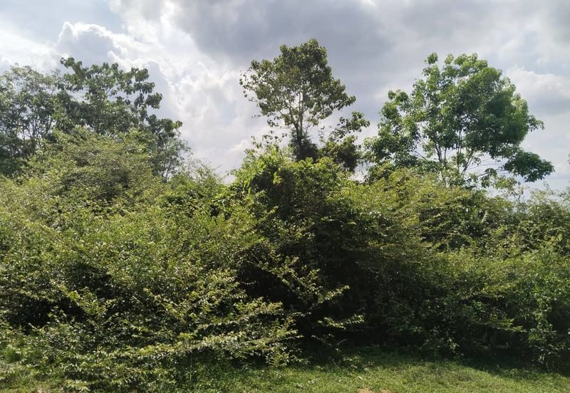 6.975044 acres abandoned rubber estate at Tanjung Tualang, Perak