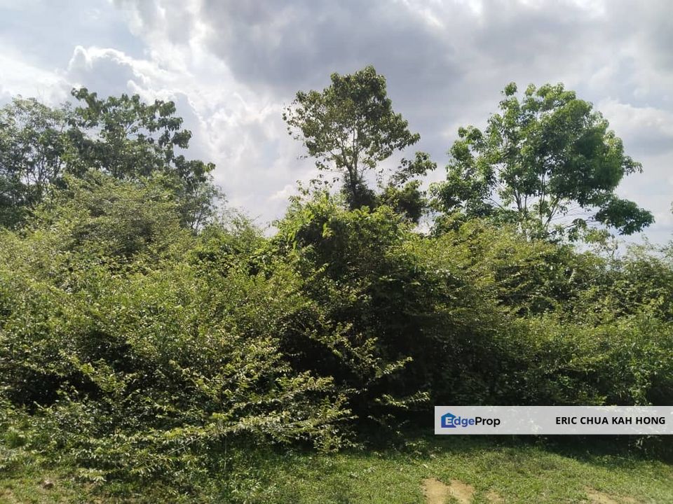 6.975044 acres abandoned rubber estate at Tanjung Tualang, Perak, Perak, Tanjong Tualang