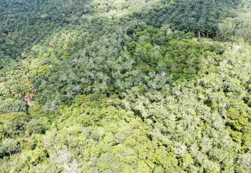 6.975044 acres abandoned rubber estate at Tanjung Tualang, Perak