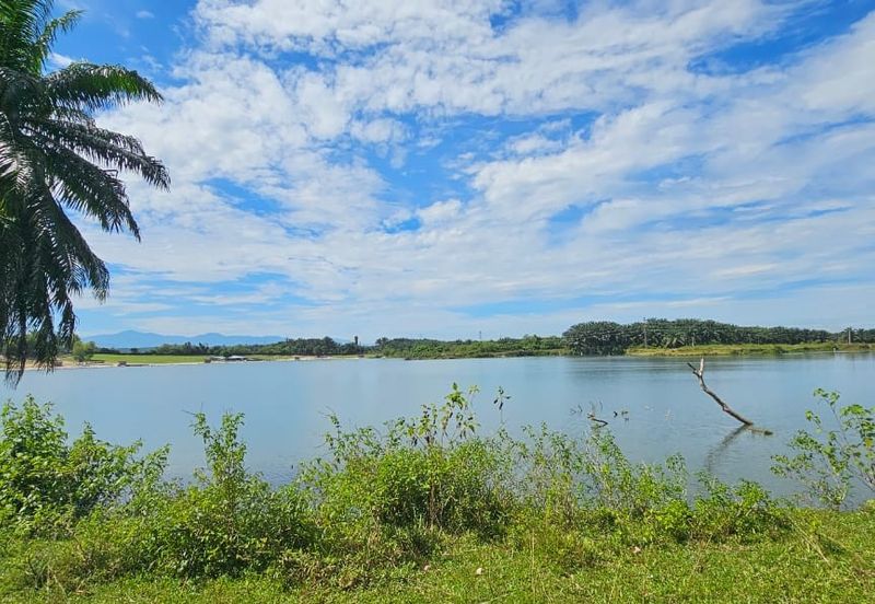 74.71 acres Palm oil land at Temoh, Perak