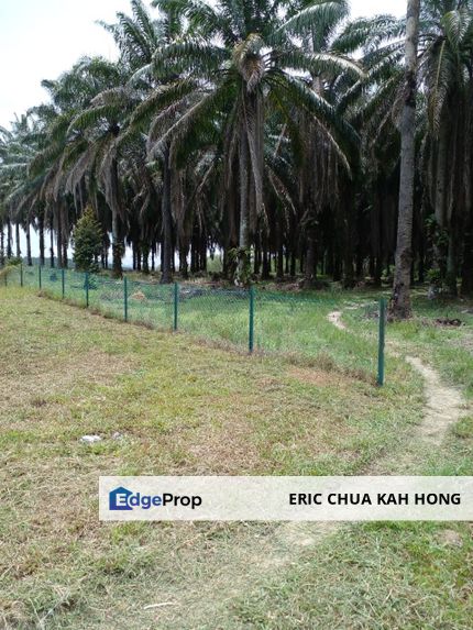 6.1 acres Development land at Tamn kinding Flora, Chemor Perak, Perak, Kinta