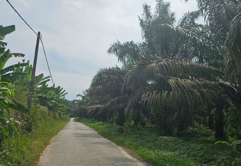 12.1 acres First Lot Industrial Land at Sungkai, Perak