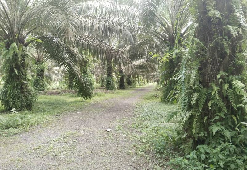 12.1 acres First Lot Industrial Land at Sungkai, Perak