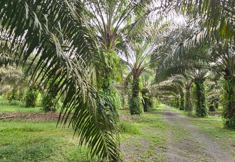 12.1 acres First Lot Industrial Land at Sungkai, Perak