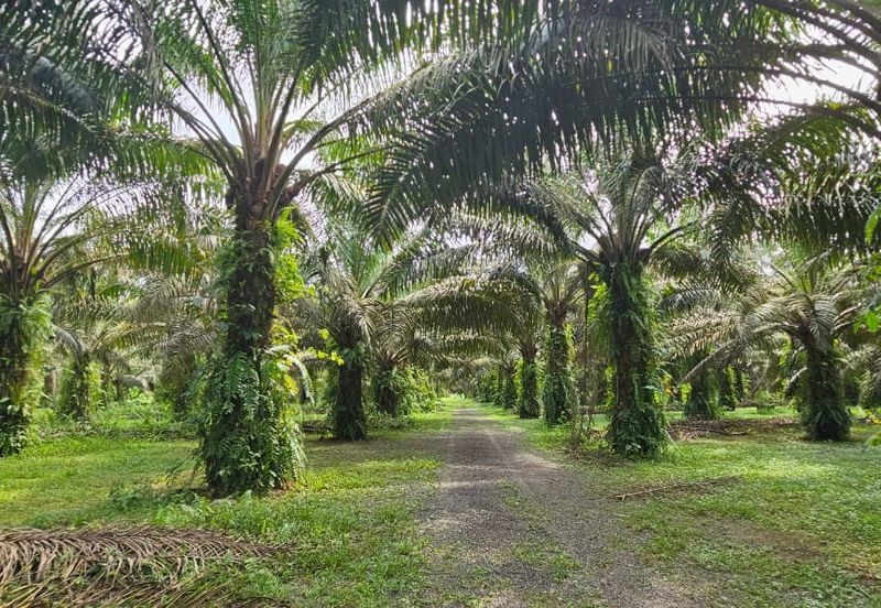 12.1 acres First Lot Industrial Land at Sungkai, Perak