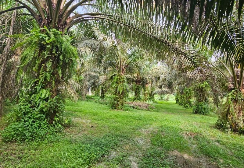 12.1 acres First Lot Industrial Land at Sungkai, Perak