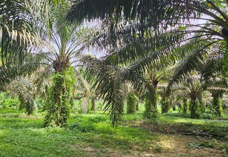 12.1 acres First Lot Industrial Land at Sungkai, Perak