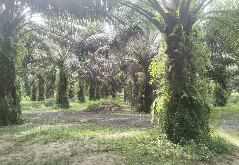 12.1 acres First Lot Industrial Land at Sungkai, Perak