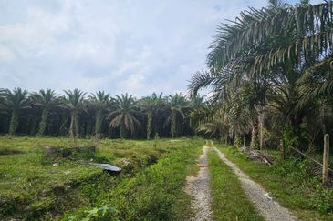 2.58744 acres vacant land at Sungkai, Perak