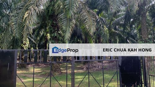 5 acres Palm oil land at Siputeh, Perak, Perak, Batu Gajah