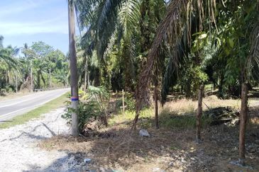 4.27 acres First Lot palm oil land at Parit, Perak