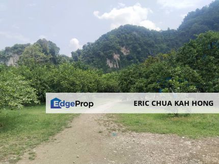 1.32 orchard land at kg ampang baru, Ipoh, Perak, Ipoh