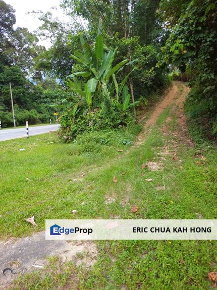 3.17 acres first lot Palm oil land at Kampung Sungai Bil, Slim River Perak, Perak, Slim River