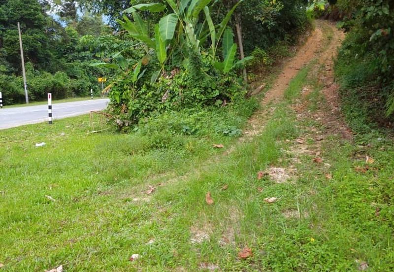 3.17 acres first lot Palm oil land at Kampung Sungai Bil, Slim River Perak
