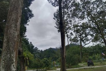 Kuala Dipang (Sahom Valley)