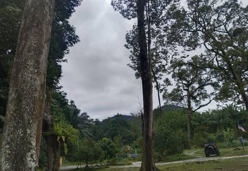 Kuala Dipang (Sahom Valley)