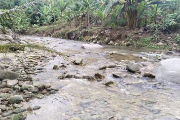 Kuala Dipang (Sahom Valley)
