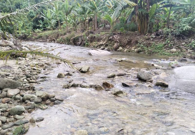 Kuala Dipang (Sahom Valley)