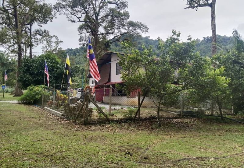 Kuala Dipang (Sahom Valley)