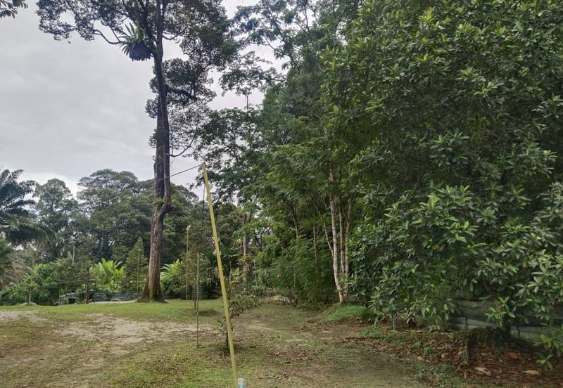 Kuala Dipang (Sahom Valley)