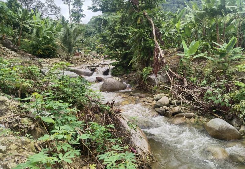 Kuala Dipang (Sahom Valley)