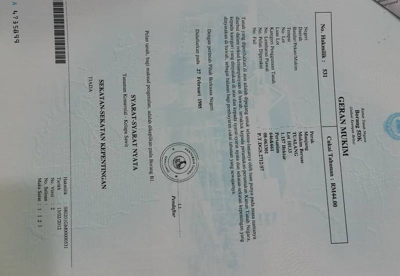 Beruas Perak Oil Palm Land