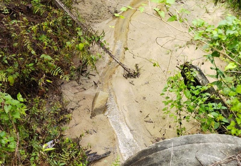 Beruas Perak Oil Palm Land