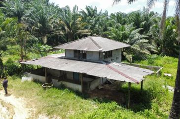 Beruas Perak Oil Palm Land