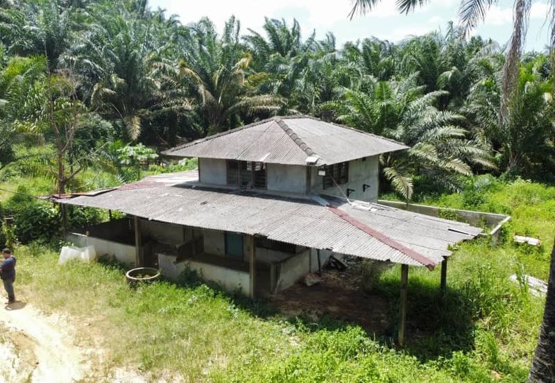 Beruas Perak Oil Palm Land