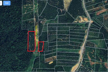 11.33 acres Palm oil Land at Kuala Kangsar, Perak