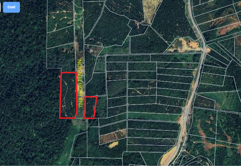 11.33 acres Palm oil Land at Kuala Kangsar, Perak