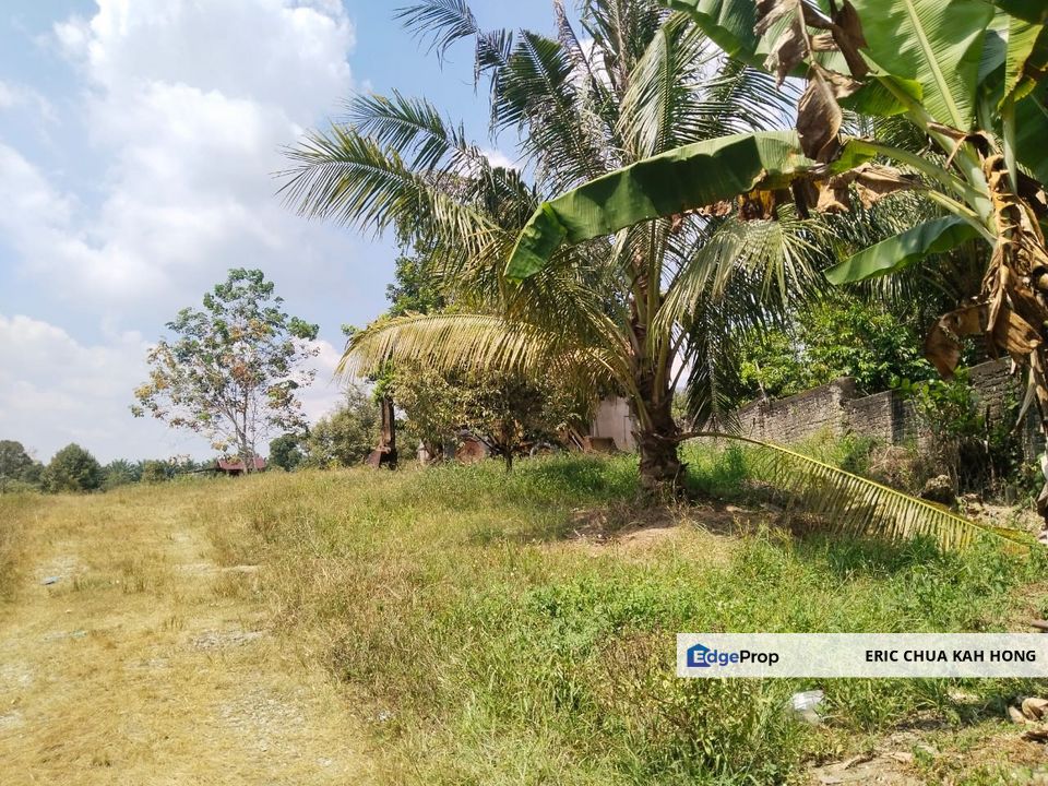 3.34 acres Durian Farm at Pusing, Perak, Perak, Kinta