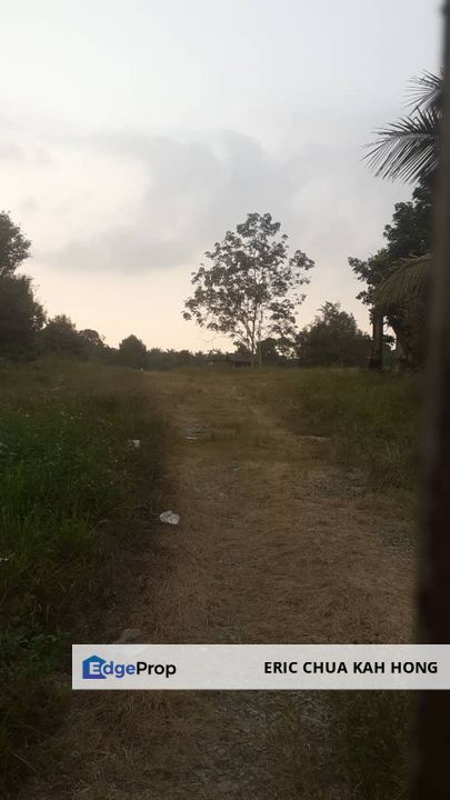 3.34 acres Durian Farm at Pusing, Perak, Perak, Kinta