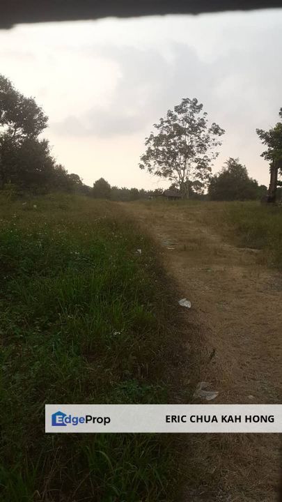 3.34 acres Durian Farm at Pusing, Perak, Perak, Kinta