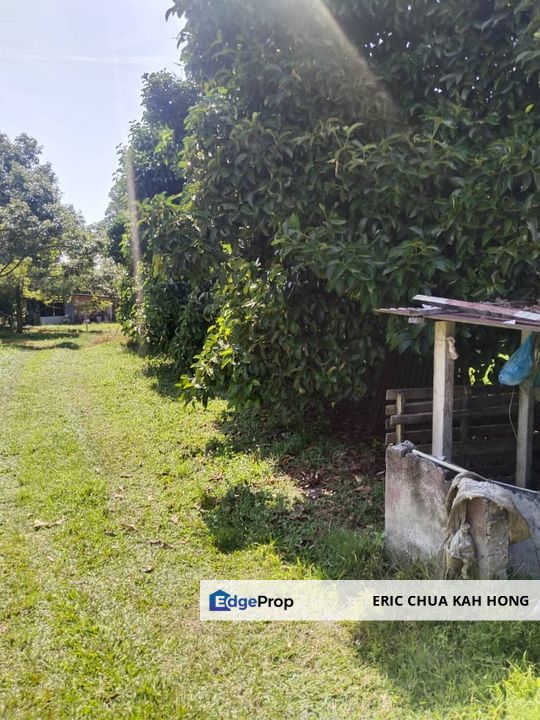 2.712476 acres Durian Farm at Temoh, Tapah, Perak, Tapah