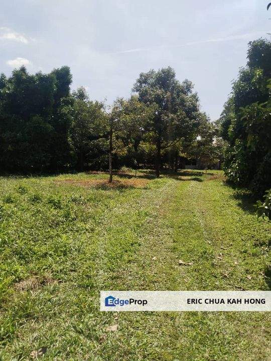 2.712476 acres Durian Farm at Temoh, Tapah, Perak, Tapah