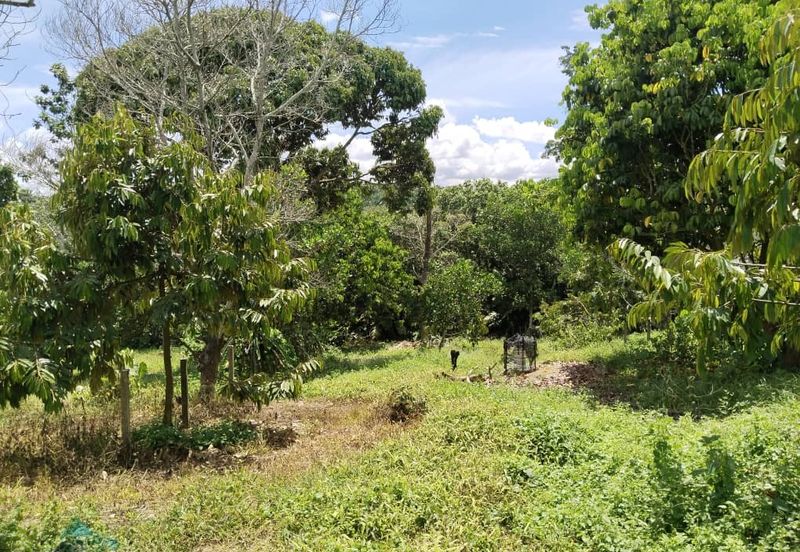 4.082922 acres First Lot Durian Farm at Ayer Tawar, Perak