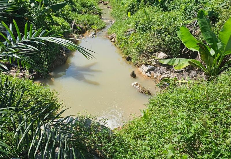 5.03749 acres new planted palm oil land at Siputeh, Perak
