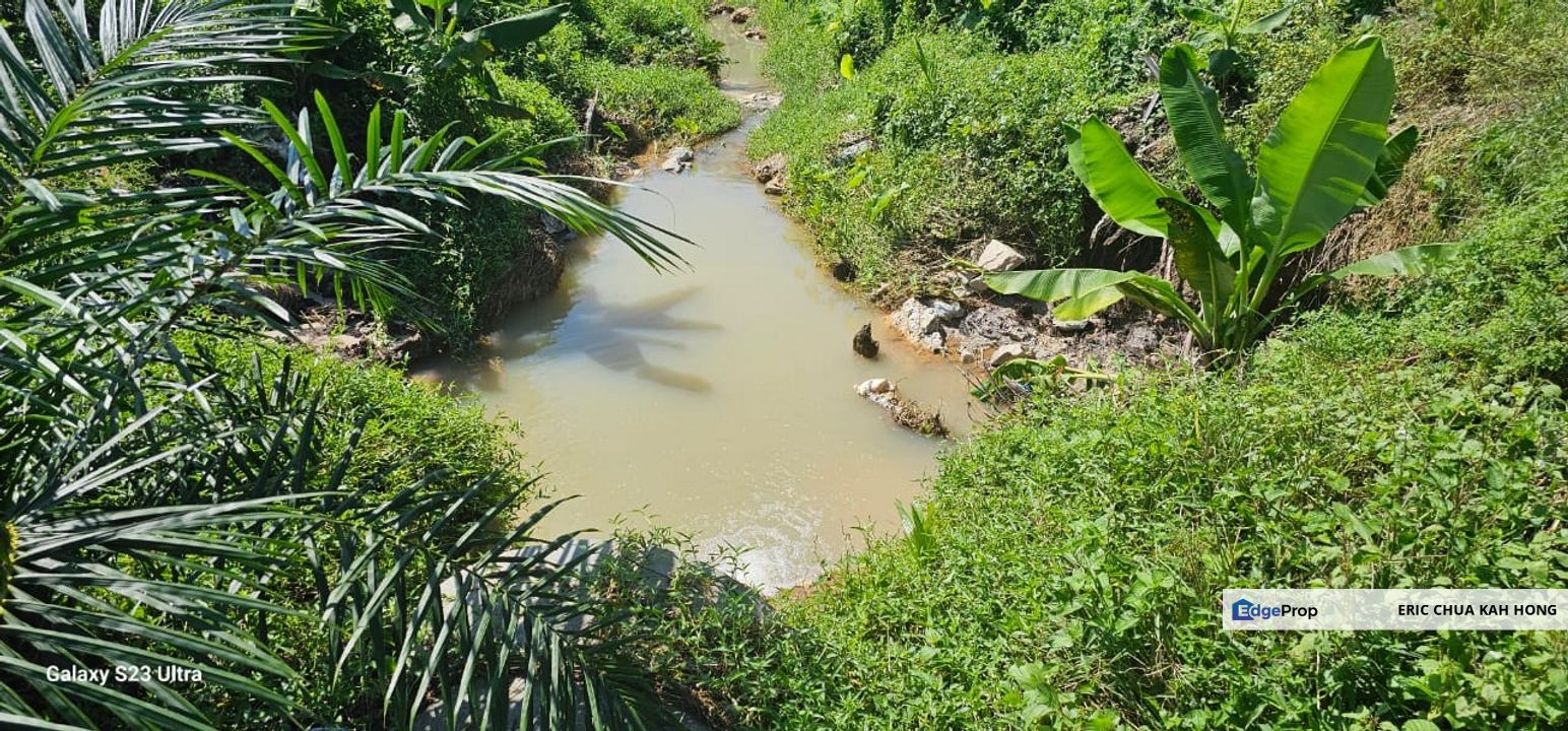 5.03749 acres new planted palm oil land at Siputeh, Perak, Perak, Si Putih