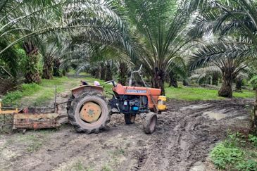 9.81 ACRES PALM OIL LAND AT JERAM, PERAK