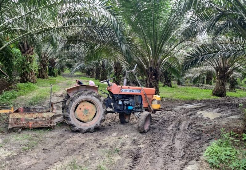 9.81 ACRES PALM OIL LAND AT JERAM, PERAK