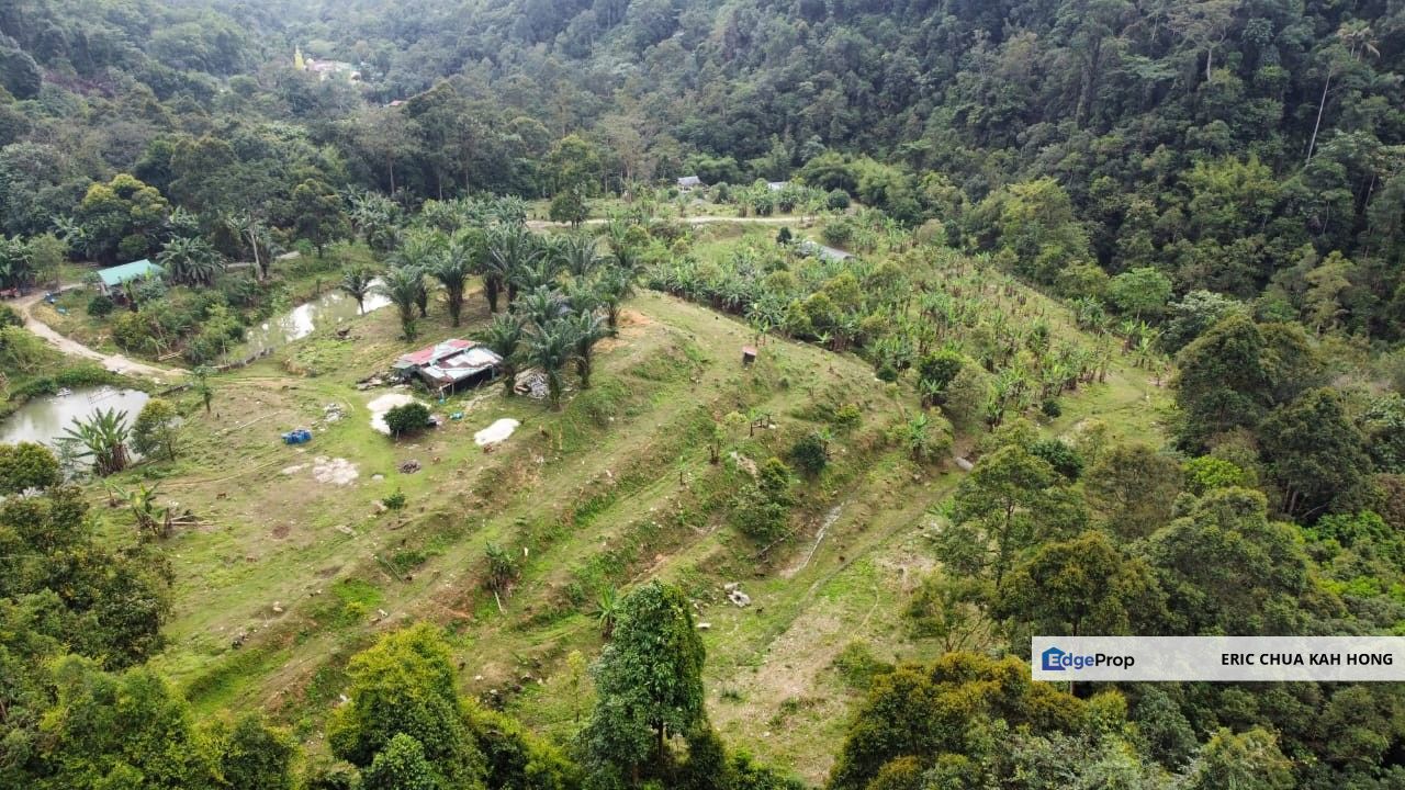 4.36 acres mix fruit farm at Jelapang, Ipoh, Perak, Ipoh
