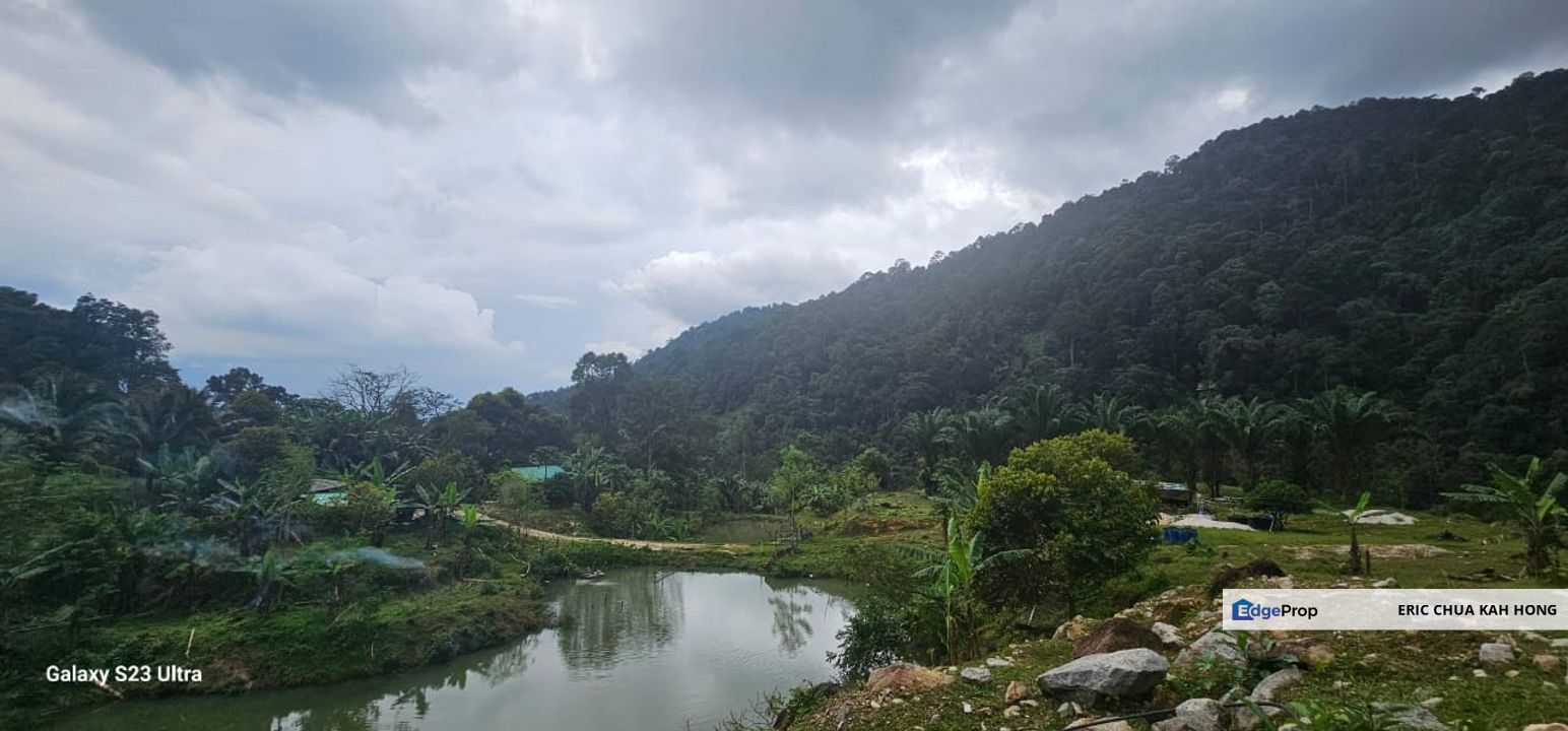 4.36 acres mix fruit farm at Jelapang, Ipoh, Perak, Ipoh