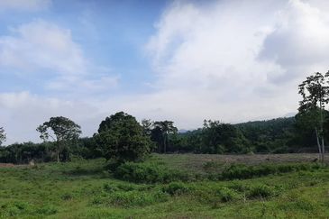 8 acres vacant agriculture land at Tmn Raia Savanna, Batu Gajah Perak 