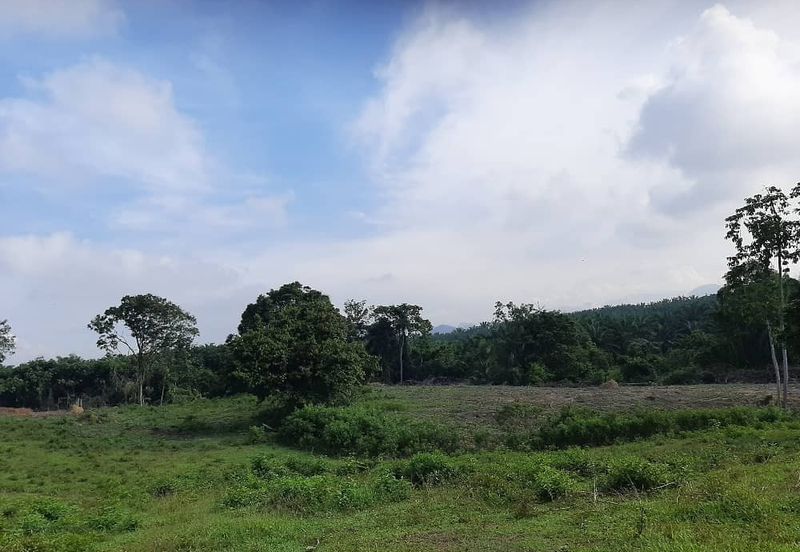 8 acres vacant agriculture land at Tmn Raia Savanna, Batu Gajah Perak 