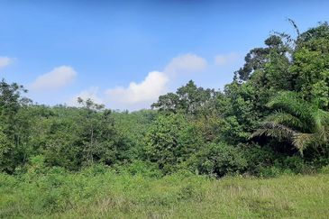 8 acres vacant agriculture land at Tmn Raia Savanna, Batu Gajah Perak 